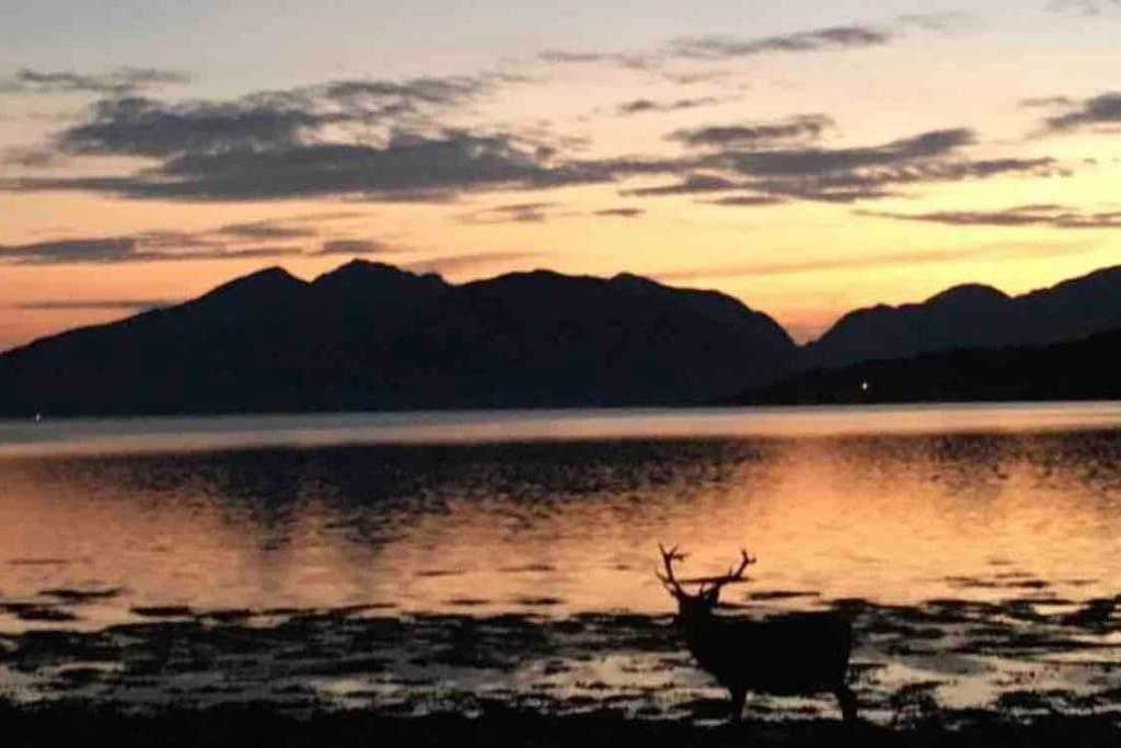 The Fox'S Den, Luxury Cosy Mini Lodge, Highlands North Ballachulish Exterior foto