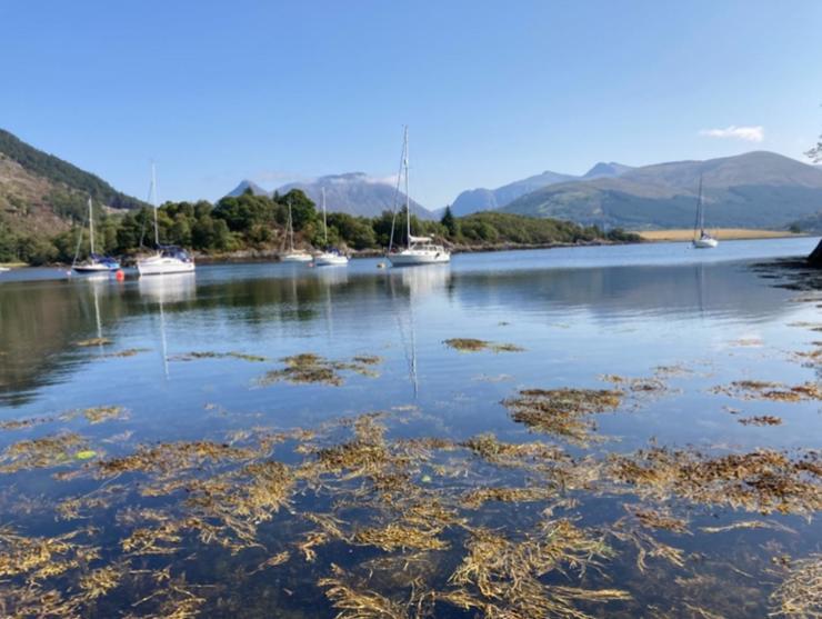 The Fox'S Den, Luxury Cosy Mini Lodge, Highlands North Ballachulish Exterior foto